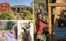 Blue Mountains Urban Farm Stay Near Sydney